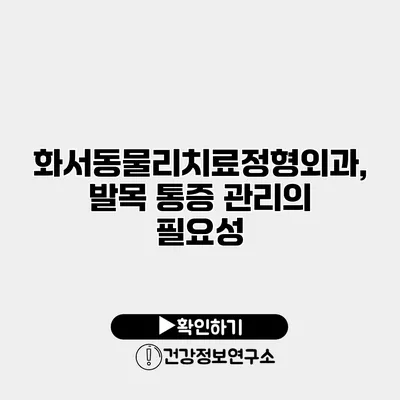 화서동물리치료정형외과, 발목 통증 관리의 필요성