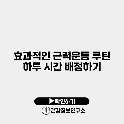 효과적인 근력운동 루틴 하루 시간 배정하기