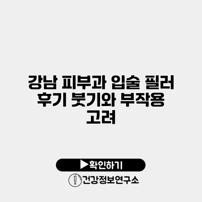 강남 피부과 입술 필러 후기 붓기와 부작용 고려