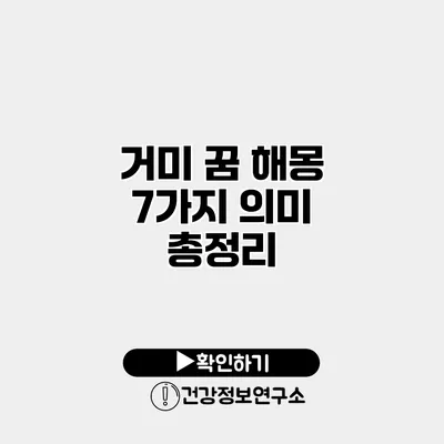 거미 꿈 해몽 7가지 의미 총정리