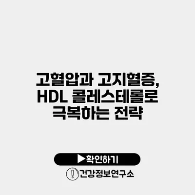 고혈압과 고지혈증, HDL 콜레스테롤로 극복하는 전략
