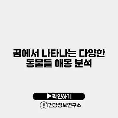 꿈에서 나타나는 다양한 동물들 해몽 분석