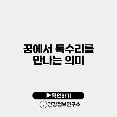 꿈에서 독수리를 만나는 의미