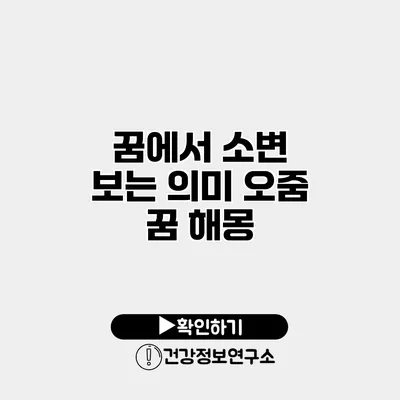 꿈에서 소변 보는 의미 오줌 꿈 해몽