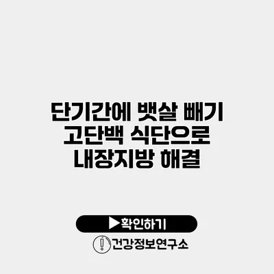 단기간에 뱃살 빼기 고단백 식단으로 내장지방 해결