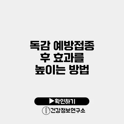 독감 예방접종 후 효과를 높이는 방법