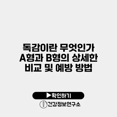 독감이란 무엇인가? A형과 B형의 상세한 비교 및 예방 방법
