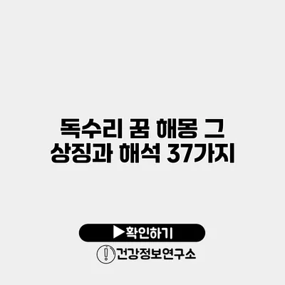 독수리 꿈 해몽 그 상징과 해석 37가지