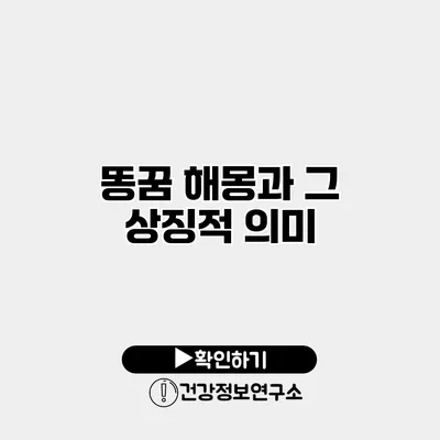 똥꿈 해몽과 그 상징적 의미