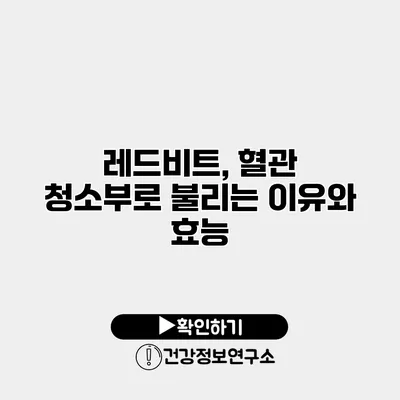 레드비트, 혈관 청소부로 불리는 이유와 효능