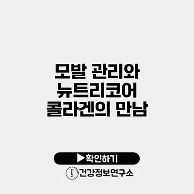 모발 관리와 뉴트리코어 콜라겐의 만남