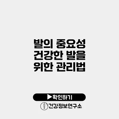 발의 중요성 건강한 발을 위한 관리법