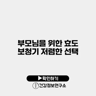 부모님을 위한 효도 보청기 저렴한 선택