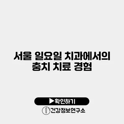 서울 일요일 치과에서의 충치 치료 경험