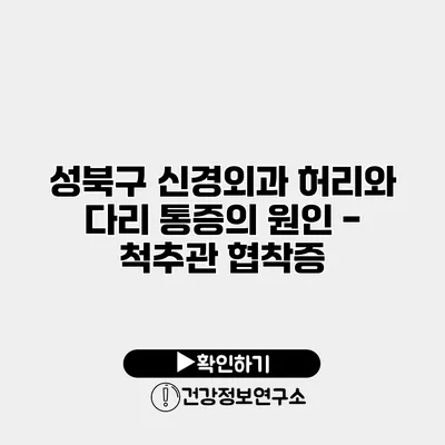 성북구 신경외과 허리와 다리 통증의 원인 - 척추관 협착증