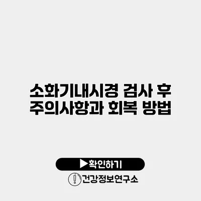 소화기내시경 검사 후 주의사항과 회복 방법