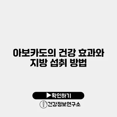 아보카도의 건강 효과와 지방 섭취 방법