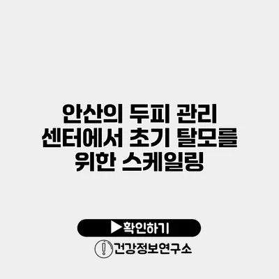 안산의 두피 관리 센터에서 초기 탈모를 위한 스케일링