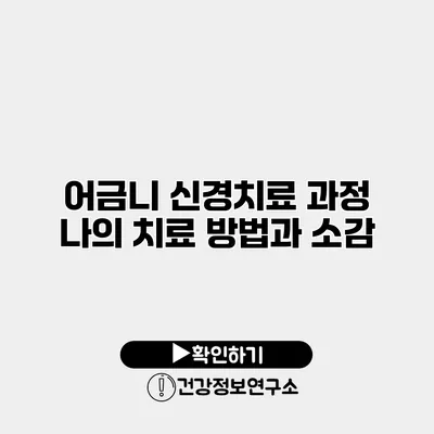 어금니 신경치료 과정 나의 치료 방법과 소감