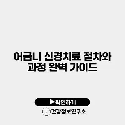 어금니 신경치료 절차와 과정 완벽 가이드