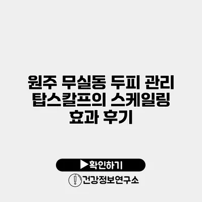 원주 무실동 두피 관리 탑스칼프의 스케일링 효과 후기