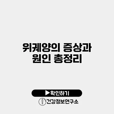 위궤양의 증상과 원인 총정리