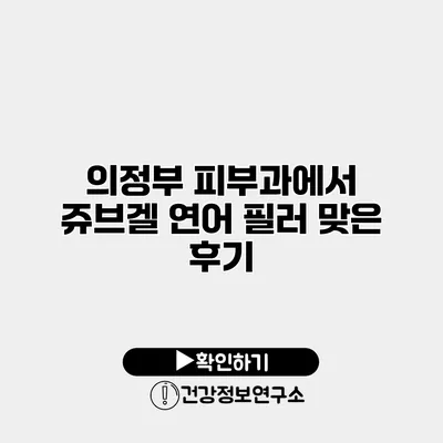 의정부 피부과에서 쥬브겔 연어 필러 맞은 후기