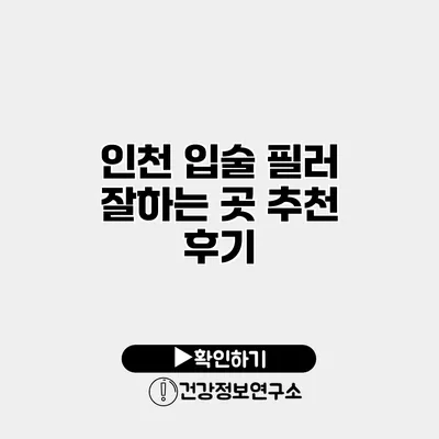 인천 입술 필러 잘하는 곳 추천 후기