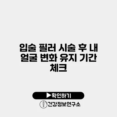 입술 필러 시술 후 내 얼굴 변화 유지 기간 체크