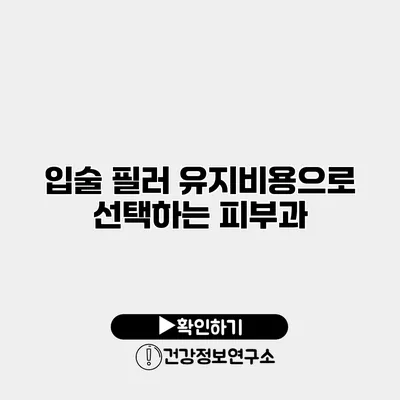 입술 필러 유지비용으로 선택하는 피부과