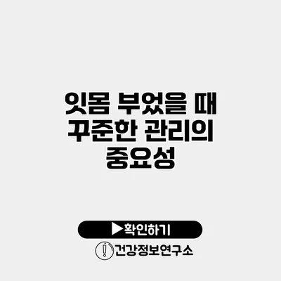 잇몸 부었을 때 꾸준한 관리의 중요성
