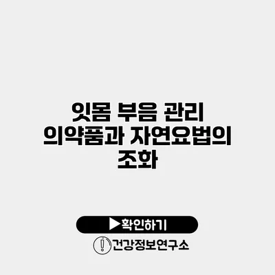 잇몸 부음 관리 의약품과 자연요법의 조화