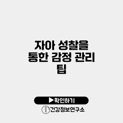 자아 성찰을 통한 감정 관리 팁