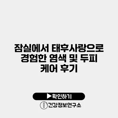 잠실에서 태후사랑으로 경험한 염색 및 두피 케어 후기