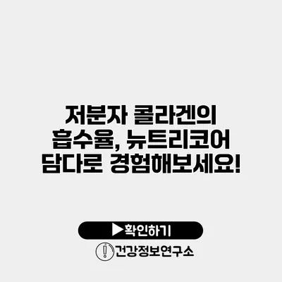 저분자 콜라겐의 흡수율, 뉴트리코어 담다로 경험해보세요!