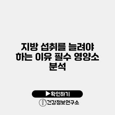 지방 섭취를 늘려야 하는 이유 필수 영양소 분석