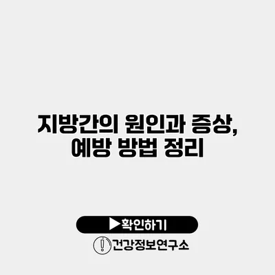 지방간의 원인과 증상, 예방 방법 정리
