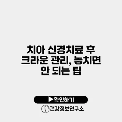치아 신경치료 후 크라운 관리, 놓치면 안 되는 팁