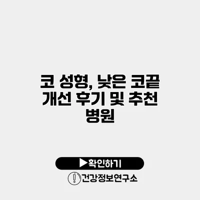 코 성형, 낮은 코끝 개선 후기 및 추천 병원
