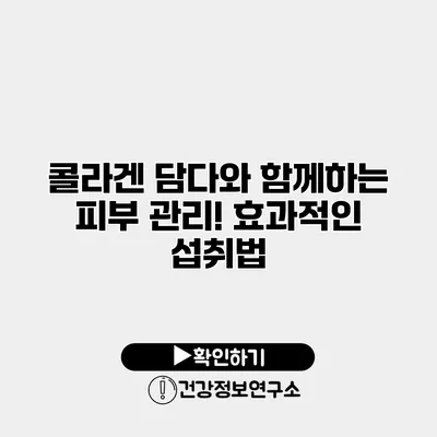콜라겐 담다와 함께하는 피부 관리! 효과적인 섭취법