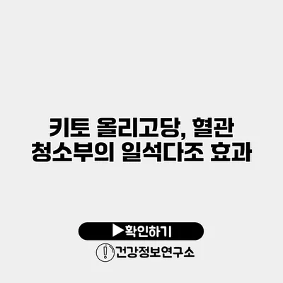 키토 올리고당, 혈관 청소부의 일석다조 효과