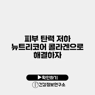 피부 탄력 저하? 뉴트리코어 콜라겐으로 해결하자
