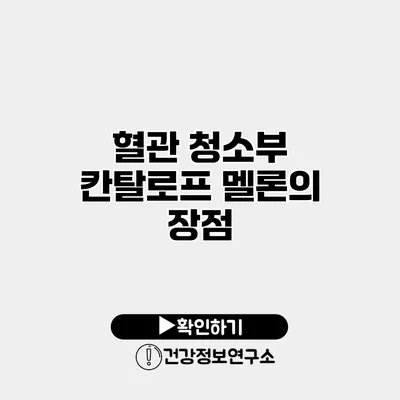 혈관 청소부 칸탈로프 멜론의 장점