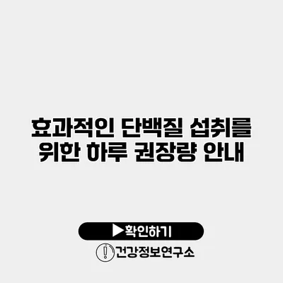 효과적인 단백질 섭취를 위한 하루 권장량 안내