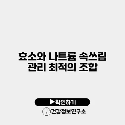 효소와 나트륨 속쓰림 관리 최적의 조합