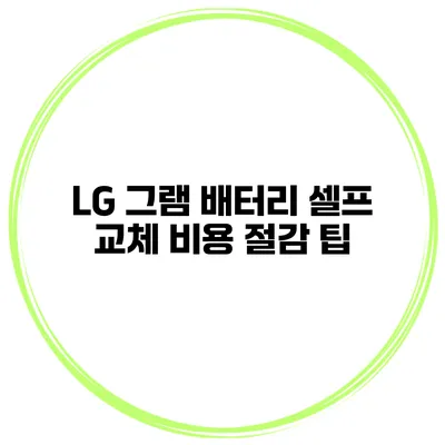 LG 그램 배터리 셀프 교체 비용 절감 팁