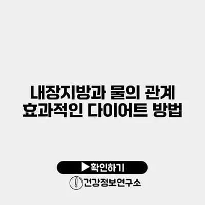 내장지방과 물의 관계 효과적인 다이어트 방법