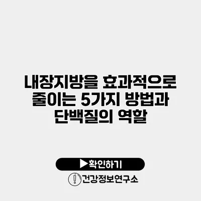 내장지방을 효과적으로 줄이는 5가지 방법과 단백질의 역할