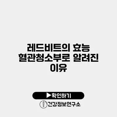 레드비트의 효능 혈관청소부로 알려진 이유