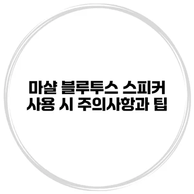 마샬 블루투스 스피커 사용 시 주의사항과 팁